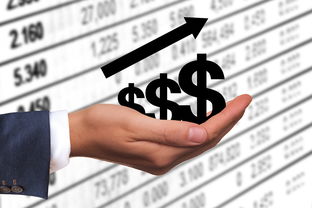 开云体育官网登录入口-热刺战犯：我们要保持冷静